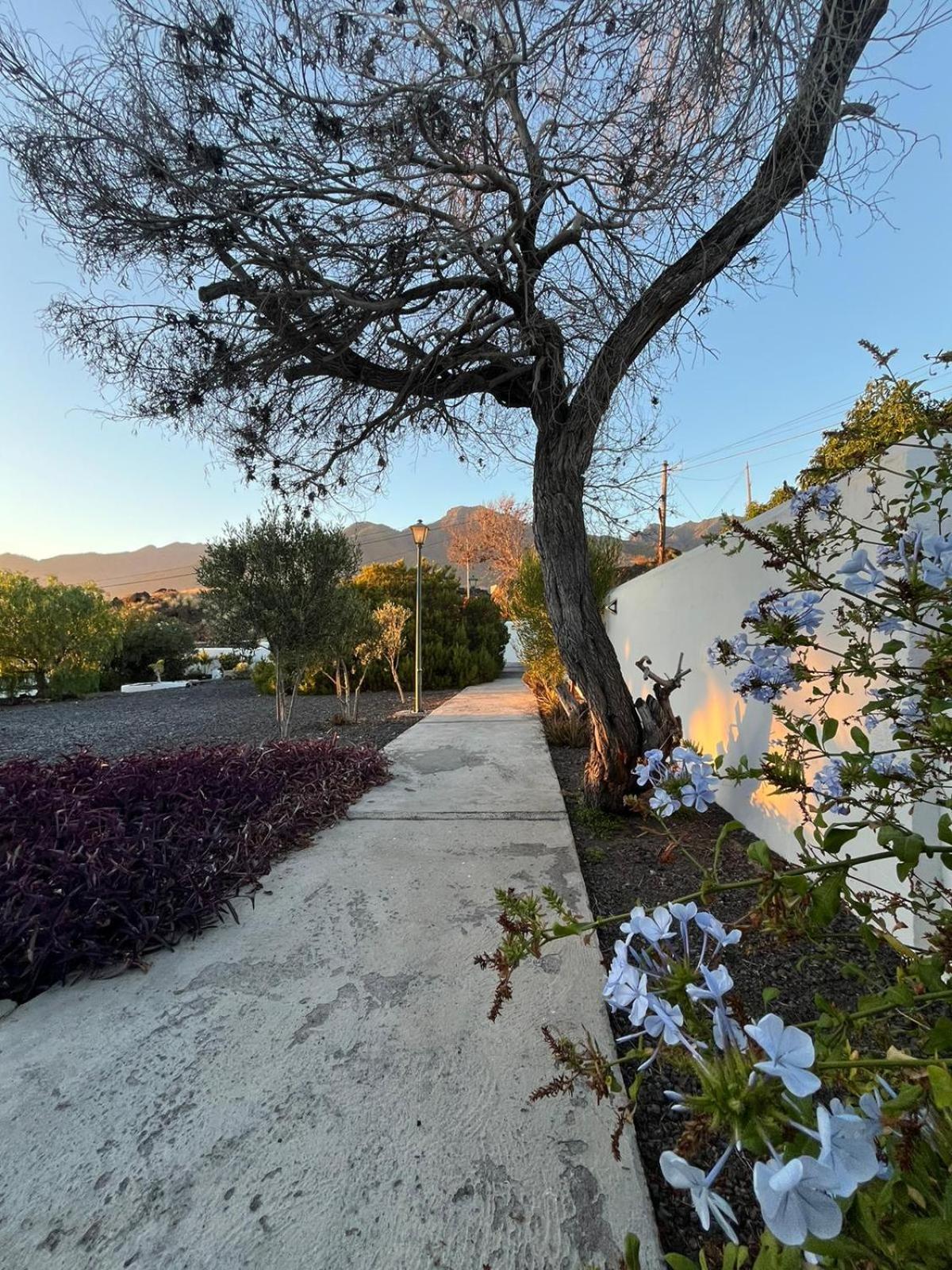 Apartamento Cráter 1 El Paso Exterior foto